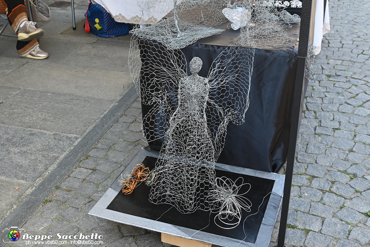 VBS_3173 - Mercatino dell'Antiquariato - Giugno 2026.jpg